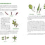 The Tree Book for Kids and Their Grown-Ups