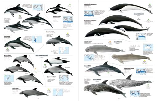All the Mammals of the World