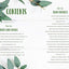 How to Houseplant: A Beginners Guide to Making and Keeping Plant Friends