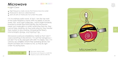 Physics: Why Matter Matters! by Green, Dan