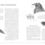 The Naturalist's Notebook: An Observation Guide and 5-Year Calendar-Journal for Tracking Changes in the Natural World around You