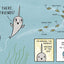 Narwhal's School of Awesomeness (A Narwhal and Jelly Book #6)