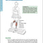 Running Anatomy