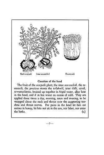 An Aztec Herbal: The Classic Codex of 1552
