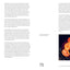 The Noma Guide to Fermentation: Including koji, kombuchas, s