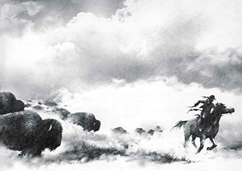 Where the Buffaloes Begin