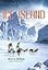 Ice Island