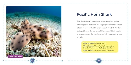 My First Book of Sharks: All About the Largest Fish in the Sea for Kids