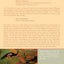 The Culture Cult: Designer Tribalism And Other Essays