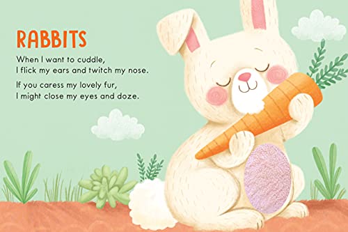 Adorable Pets: A Touch and Feel Book - Childrens Board Book - Educational