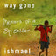 A Long Way Gone: Memoirs of a Boy Soldier