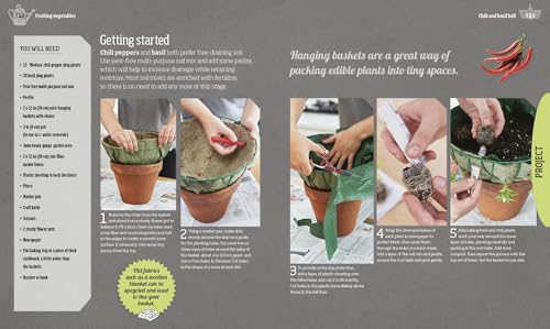 Indoor Edible Garden: Creative Ways to Grow Herbs, Fruits, and Vegetables in Your Home