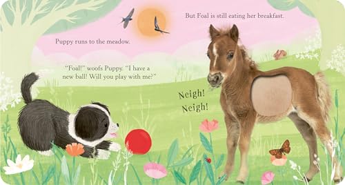 Playtime on the Farm: A touch-and-feel baby animal storybook (Snuggle-up Stories)