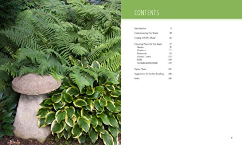 Planting the Dry Shade Garden: The Best Plants for the Toughest Spot in Your Garden