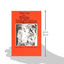 Observing the Erotic Imagination by Stoller, Robert J.
