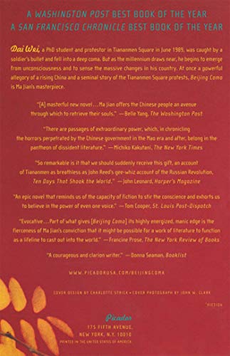 Beijing Coma: A Novel