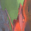 Bark: An Intimate Look at the World's Trees by Pollet, Cedri