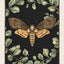 Woodland Wardens: 52-Card Oracle Deck & Guidebook
