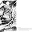 The Cryptid Creatures Coloring Book: From Bigfoot and Mothman to the Chupacabra, Color the World's Most Mysterious Monsters