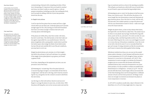 The Noma Guide to Fermentation: Including koji, kombuchas, s