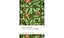 The Small House at Allington (Oxford World's Classics)