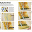 Ready to Paint in 30 Minutes: Trees & Woodlands in Watercolour
