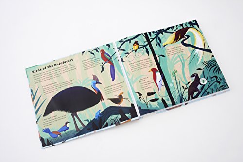 Sounds of Nature: World of Birds