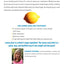 The Lemon Juice Diet