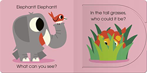 Elephant, Elephant, What Can You See?