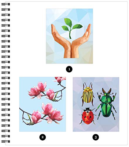 Brain Games - Sticker by Number: Country Garden by Publicati