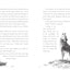 A Horse Named Sky: A Gripping Animal Adventure Survival Story About a Wild Horse Fighting for Freedom (A Voice of the Wilderness Novel)