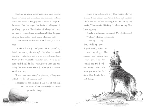 A Horse Named Sky: A Gripping Animal Adventure Survival Story About a Wild Horse Fighting for Freedom (A Voice of the Wilderness Novel)