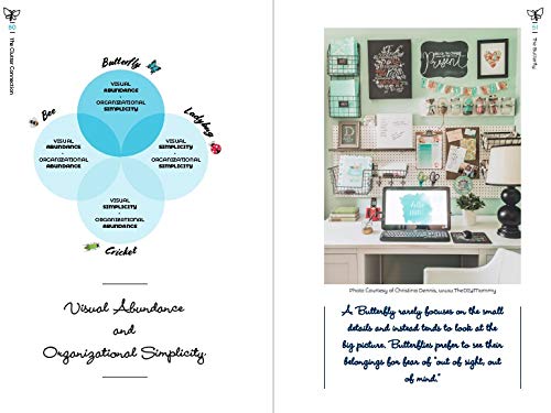 The Clutter Connection: How Your Personality Type Determines Why You Organize the Way You Do (From the host of HGTVs Hot Mess House) (Clutterbug)