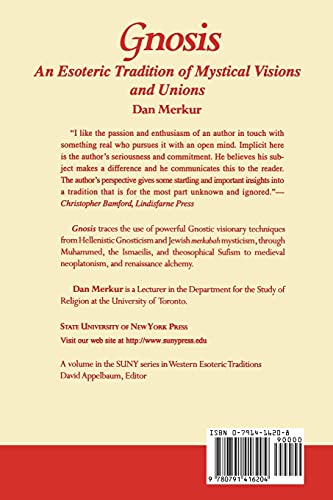 Gnosis: An Esoteric Tradition of Mystical Visions and Unions (Suny Series in Western Esoteric Traditions)