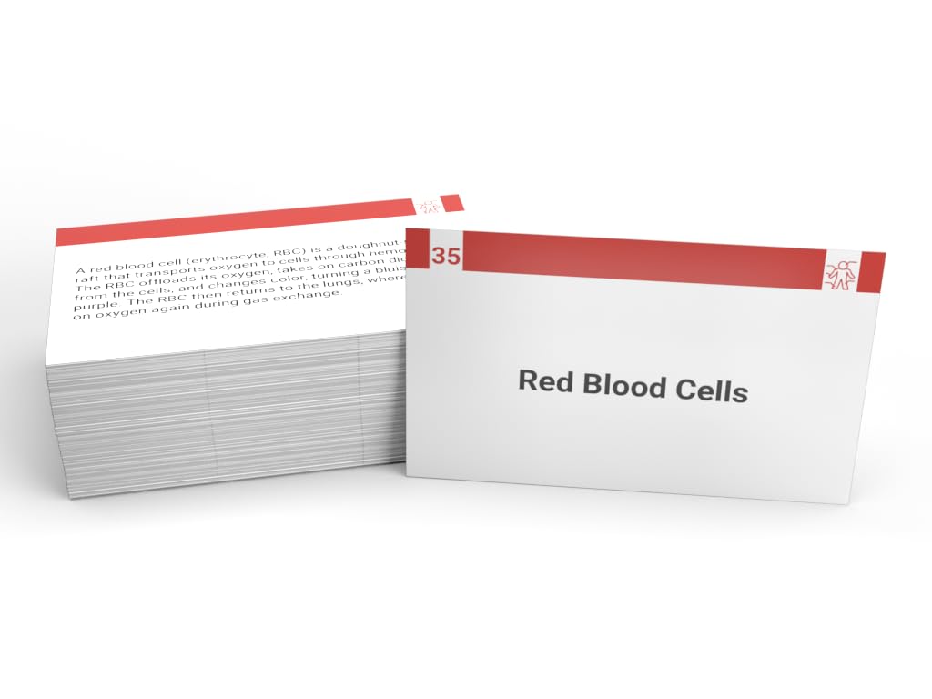 Medical Terminology Study Cards 2025-2026: Basic Med Term Cards for Health Professions and Nursing [Full Color Cards]
