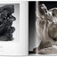 Auguste Rodin: 1840-1917