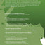 Motion Encoding in Language and Space (Explorations in Language and Space)