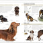 The Complete Dog Breed Book, New Edition