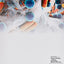 Textbook of Diagnostic Microbiology
