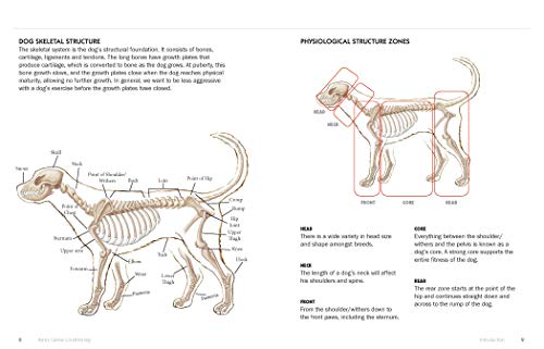 Kyra's Canine Conditioning: Peak Performance & Injury Prevention