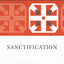 Sanctification (2) (New Studies in Dogmatics)