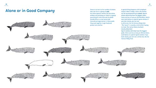 A Book About Whales