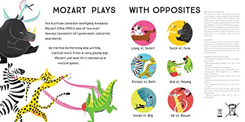 Baby Mozart: A Classical Music Sound Book (With 6 Magical Melodies) (Baby Classical Music Sound Books)