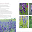 The Lavender Companion: Enjoy the Aroma, Flavor, and Health Benefits of This Classic Herb