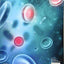 Basic & Applied Concepts of Blood Banking and Transfusion Practices