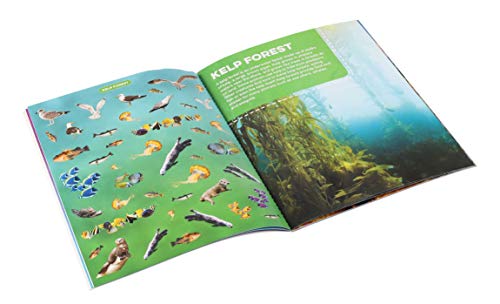 Discovery Real Life Sticker Book: Ocean (Discovery Real Life