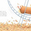 Memoirs of a Hamster by Scillian, Devin
