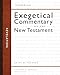 Revelation (Zondervan Exegetical Commentary on the New Testament)