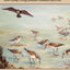 Social Predation: How Group Living Benefits Predators and Prey
