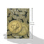 Presidential Dollars, Volume 1: Philadelphia and Denver Mint Collection
